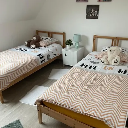 Appartamento 3 Pièces Centre Pittoresques Parking Gratuit à 5 Minutes à Pied Obernai