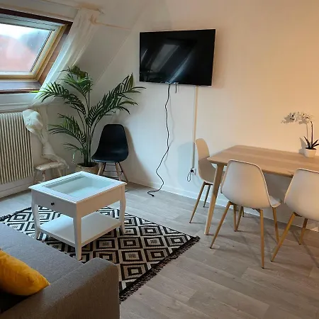 Appartamento 3 Pièces Centre Pittoresques Parking Gratuit à 5 Minutes à Pied Obernai