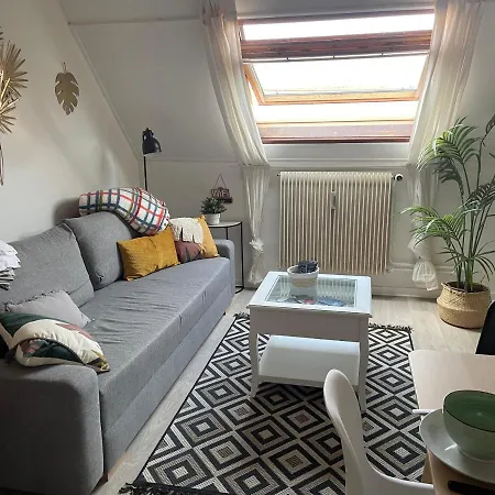 Apartament 3 Pieces Centre Pittoresques Parking Gratuit A 5 Minutes A Pied Obernai