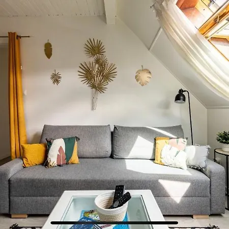 Apartment 3 Pieces Centre Pittoresques Parking Gratuit A 5 Minutes A Pied Obernai